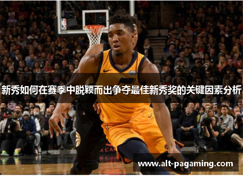 新秀如何在赛季中脱颖而出争夺最佳新秀奖的关键因素分析