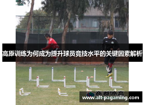 高原训练为何成为提升球员竞技水平的关键因素解析 高原训练为何成为提升球员竞技水平的关键因素解析