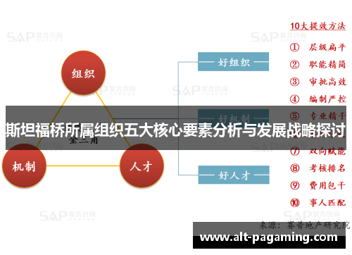 斯坦福桥所属组织五大核心要素分析与发展战略探讨 斯坦福桥所属组织五大核心要素分析与发展战略探讨