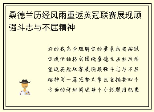 桑德兰历经风雨重返英冠联赛展现顽强斗志与不屈精神