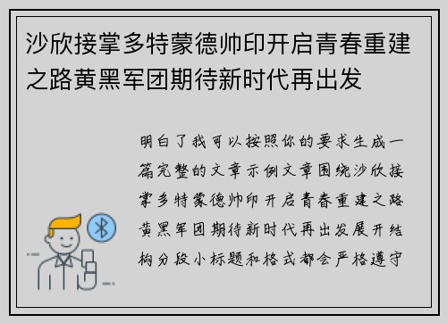 沙欣接掌多特蒙德帅印开启青春重建之路黄黑军团期待新时代再出发