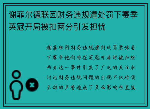 谢菲尔德联因财务违规遭处罚下赛季英冠开局被扣两分引发担忧