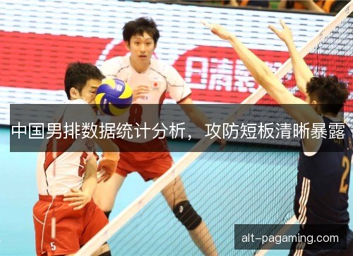中国男排数据统计分析，攻防短板清晰暴露